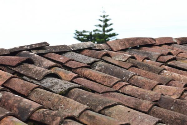 Protect Your Commercial Roof and it Will Protect You
