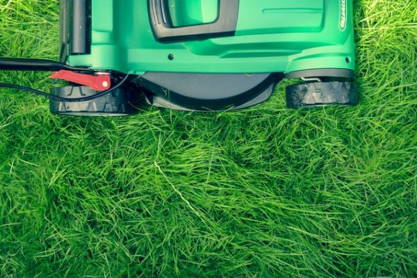 Why You May Want To Hire Professional Lawn Care Services