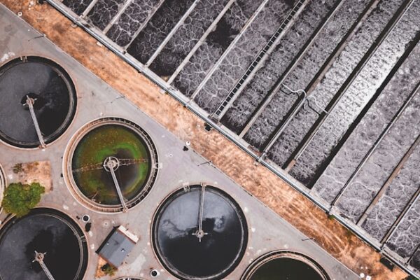 Maintaining a Healthy and Efficient Septic System: A Homeowner’s Guide