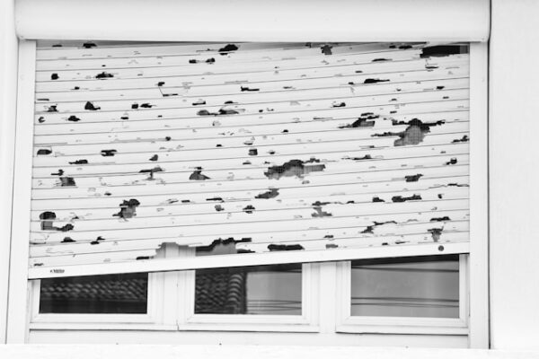 Understanding Insurance Coverage for Hail Damage Repairs